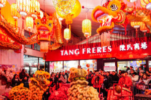 2026-02 - Danse de lion T1 15 février 2026-14