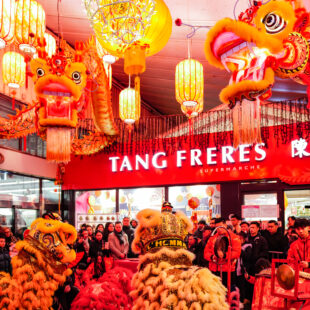 2026-02 - Danse de lion T1 15 février 2026-14