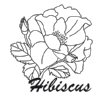 Hibiscus (芙蓉花牌浙江珠茶)