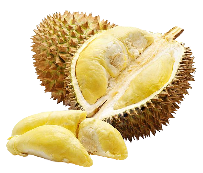 produits - fruits - durian-02
