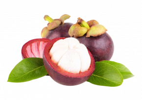 produits - fruits - mangoustan