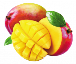 produits - fruits - mangue