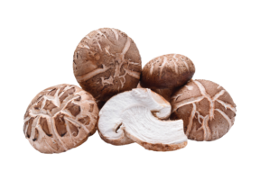 legumes - champignons-shiitake.png