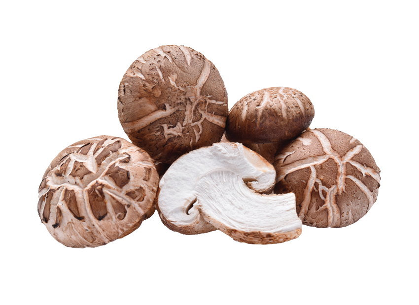 legumes - champignons-shiitake.png